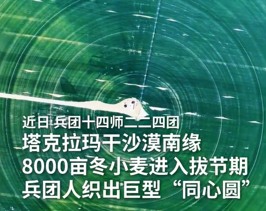 壮观！塔克拉玛干沙漠现巨型麦圈