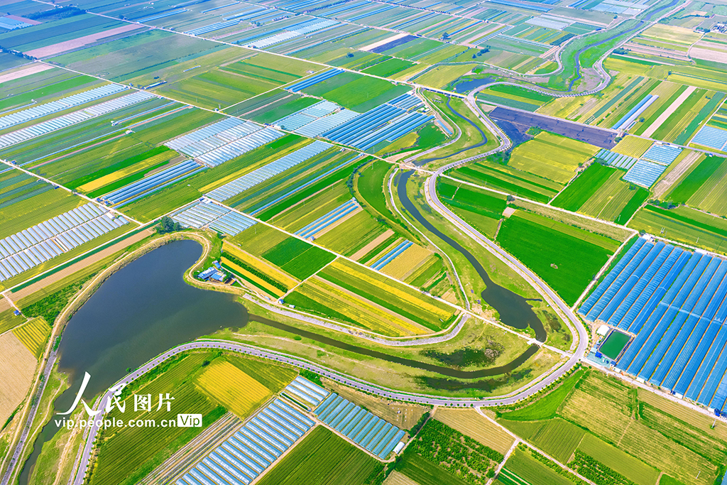 山西夏县：涑水河畔绘就田园盛景